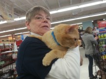 Kay Jones has been fostering Shorty for two months after seeing him living in her neighborhood for years.